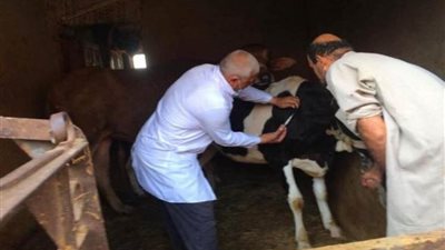  3.9 مليون جرعة لتحصين المواشي ضد 