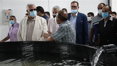 مفرخ الإسكندرية السمكي يستهدف توفير ١٥٪ من زريعة الأسماك البحرية