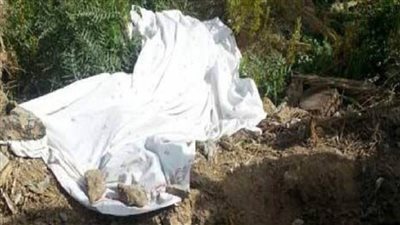 العثور على جثة مدمن بأرض زراعية بشبين القناطر