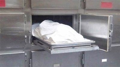 مصرع طفل بعد سقوطه في مجموعة ري بالدقهلية