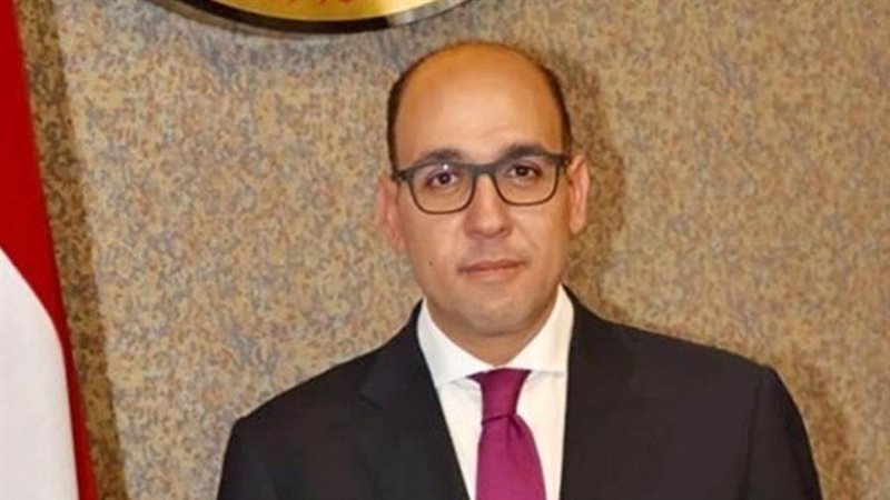 السفير أحمد حافظ