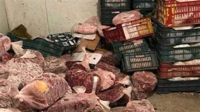 مباحث التموين تضبط نحو 7.5 طن لحوم وأسماك فاسدة قبل ترويجها بالأسواق