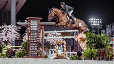 الاتحاد الدولي للفروسية يشيد بمشاركة مصر أولمبياد طوكيو2020