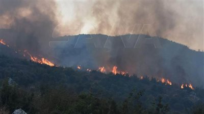 حريق بوادي العيون بمحافظة حماة السورية