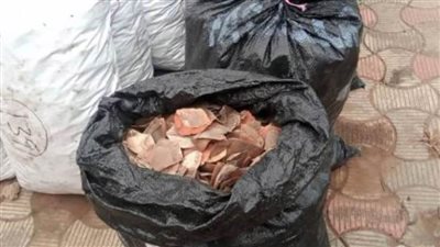 عاجل| إحباط تهريب 