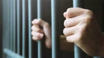 ضبط لص حاول سرقة سائق توكتوك بالدقهلية