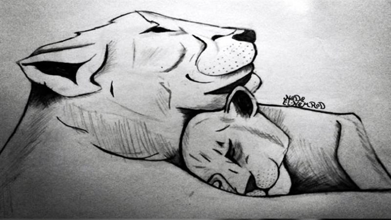 ريشة ندى النمرود