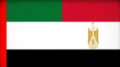 الرئيس السيسي يشيد بالعلاقات الأخوية المتينة بين مصر والإمارات