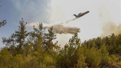 الرئيس الجزائري يوجه باتخاذ التدابير اللازمة للسيطرة على حرائق الغابات