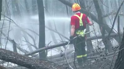 السكان والإطفائيون يكافحون معا النيران في جزيرة إيفيا اليونانية