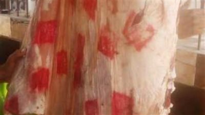 ضبط 68  كيلو لحوم مجهولة المصدر منتهية الصلاحية بمنيا القمح