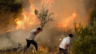 اتحاد الإذاعات الإسلامية يقدم العزاء للجزائر في ضحايا حرائق الغابات 