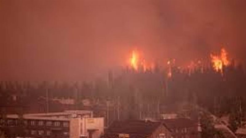 صورة أرشيفة