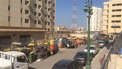 استمرار حملات التصدي للمخالفات والإشغالات بمدينة الثغر والغلق والتشميع والتغريم عقاب المخالفين