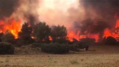 وكالة الفضائية الجزائرية: مصدر حرائق الغابات 