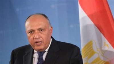 مباحثات مصرية- يابانية على مستوى وزيرى الخارجية غدا بالقاهرة