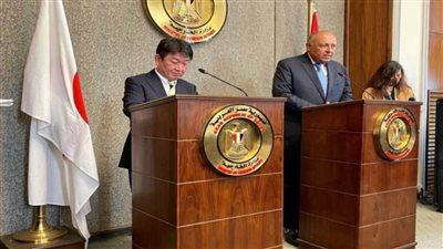 شكري ونظيره الياباني يؤكدان على عمق العلاقات التاريخية التي تربط بين البلدين
