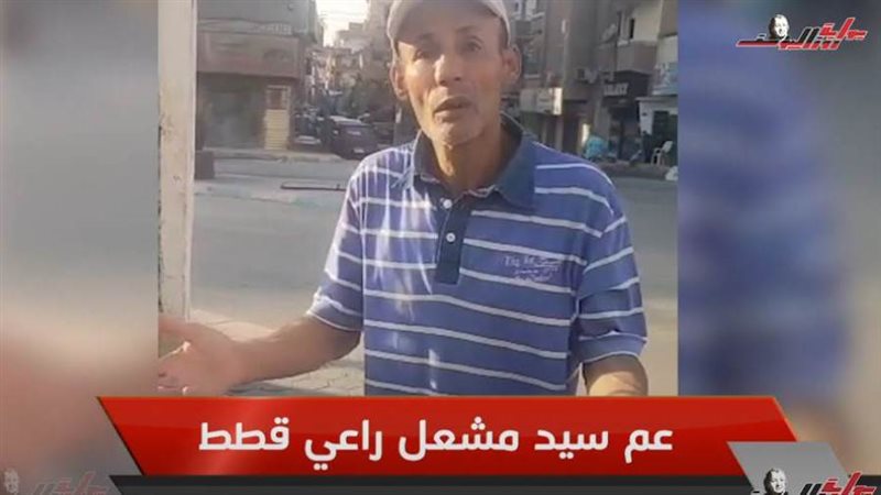 راعي قطط في الإسماعيلية