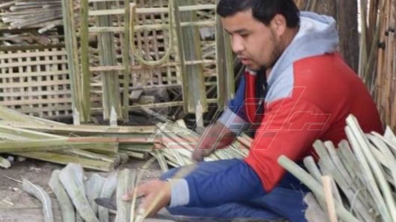 عامل في صناعه الجريد