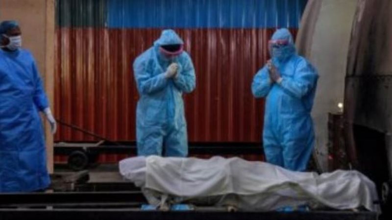 اليابان وكورونا