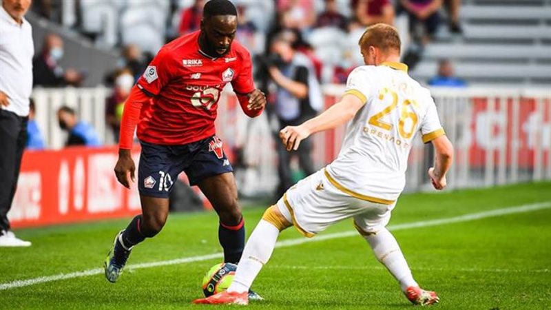 بوابة روز اليوسف