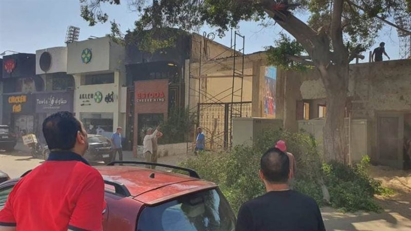 تهذيب الأشجار امام