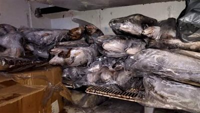 ضبط 750 كجم أسماك و53 كجم لحوم مجمدة خلال حملة بالشرقية 