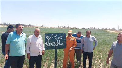 استرداد ١١٩ فدانا و١٣ قيراط أملاك دولة فى حملة بالبحيرة