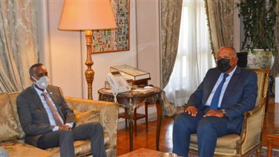 شكري يبحث مع رئيس وزراء الصومال العلاقات الثنائية 