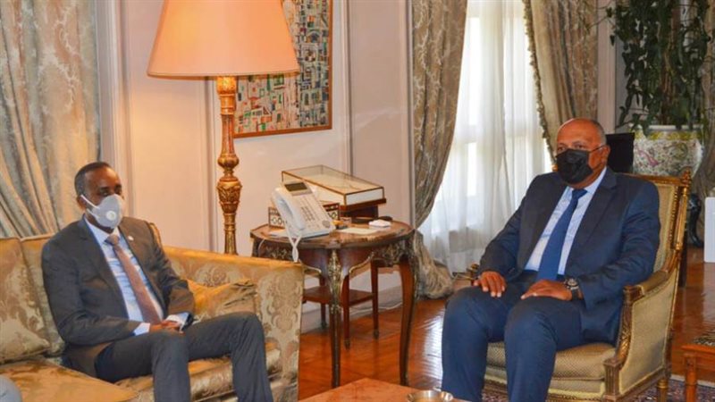 سامح شكري يلتقي رئيس