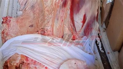 تطهير الترع والمصارف وحملات على الأسواق لضبط المخالفين ببلطيم