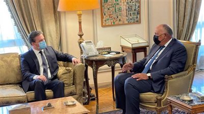 شكري ونظيره الصربي يؤكدان عمق علاقات التعاون بين البلدين