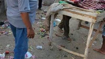 إزالة التعديات على الأراضي الزراعية وإشغالات الطرق العامة بالشرقية 