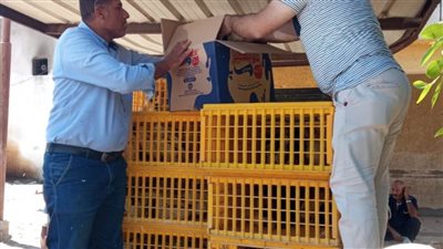 ١٩٢٧ مستفيدا من مشروع تربية البط بالبحيرة