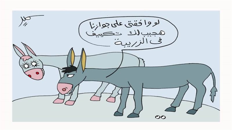 ريشة سمير عبد الغني