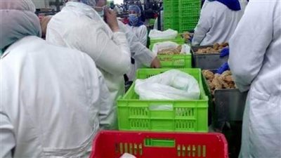 ضبط طن و240 كجم لحوم مخالفة بمصنعين بالشرقية