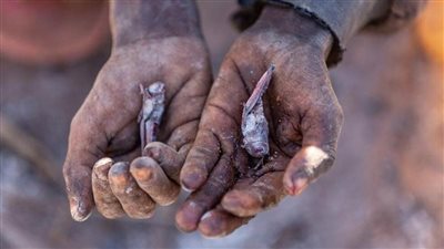 الجفاف يجبر سكان دولة إفريقية على أكل 