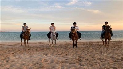 الخيول تنقذ شواطئ الغردقة من 