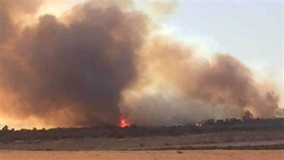 السيطرة على حريق بمزارع نخيل في الوادى الجديد