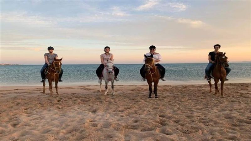 الخيول تنقذ شواطئ