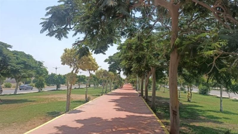 المشروعات الخدمية