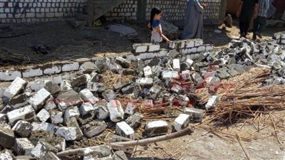 حملات للنظافة وتعقيم المساجد والتصدي لمخلفات البناء بدسوق