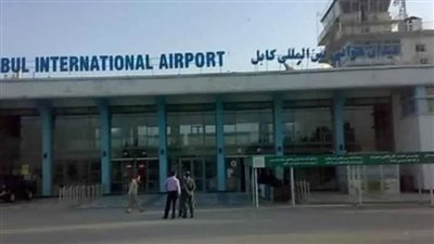 الحكومة البريطانية توافق على إجلاء الكلاب والقطط من كابول 