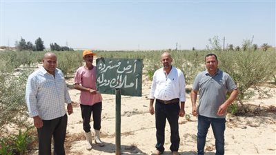 استرداد 36 فدانا و18 قيراطا أملاك دولة بالبحيرة