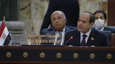 الرئيس السيسي: مصر تقف سندا ودعما لجهود الحكومة العراقية نحو تقوية الدولة الوطنية ومؤسساتها