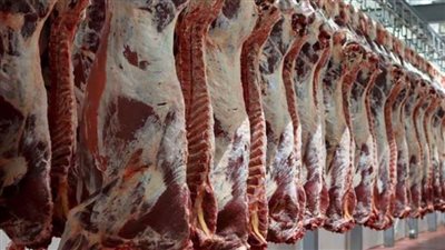 الأوقاف: توزيع 