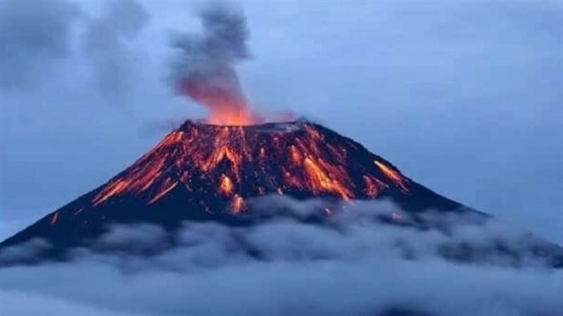 بركان شيفيلوتش