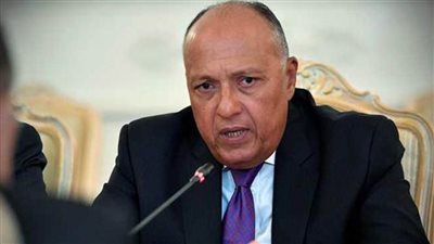 شكري يصل إلى الجزائر للمشاركة في اجتماع وزراء خارجية دول جوار ⁧ليبيا‬⁩