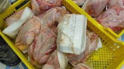 التحفظ على 12 طن لحوم وأسماك وسكر فاسدة بحملة في القليوبية 