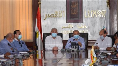 وزير التنمية المحلية يتابع معدلات تنفيذ مشروعات برنامج تطوير الريف المصري بالأقصر